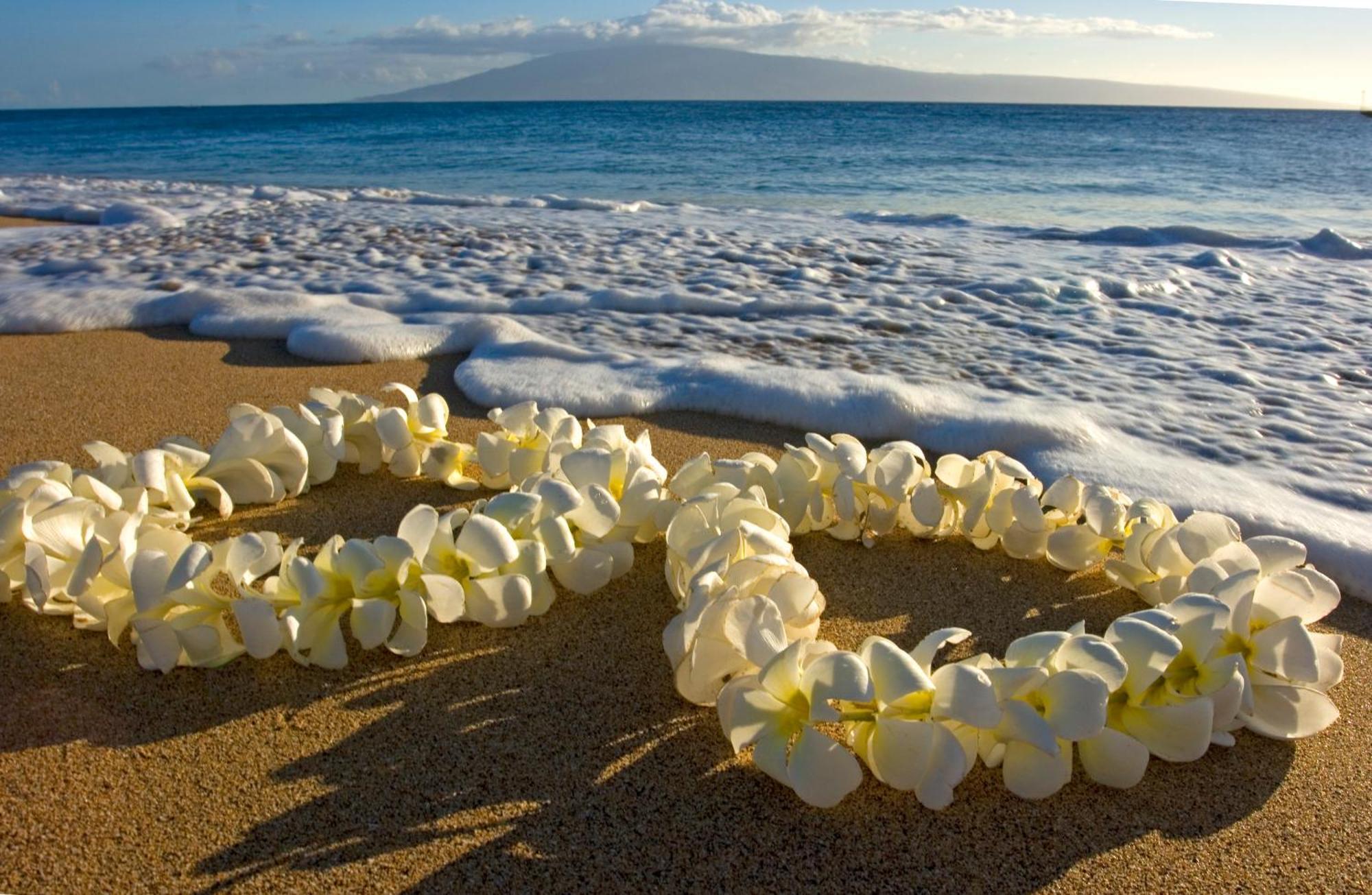 Great Ocean View Condo, Near Beach With Free Parking! Honolulu Exteriér fotografie