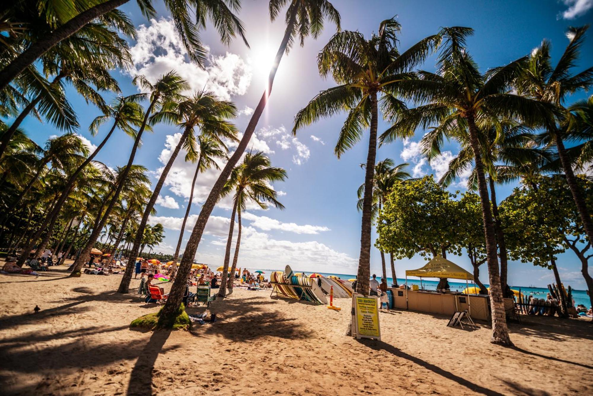 Great Ocean View Condo, Near Beach With Free Parking! Honolulu Exteriér fotografie